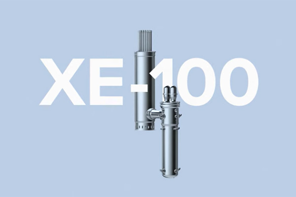 Concept design of Xe-100 reactor